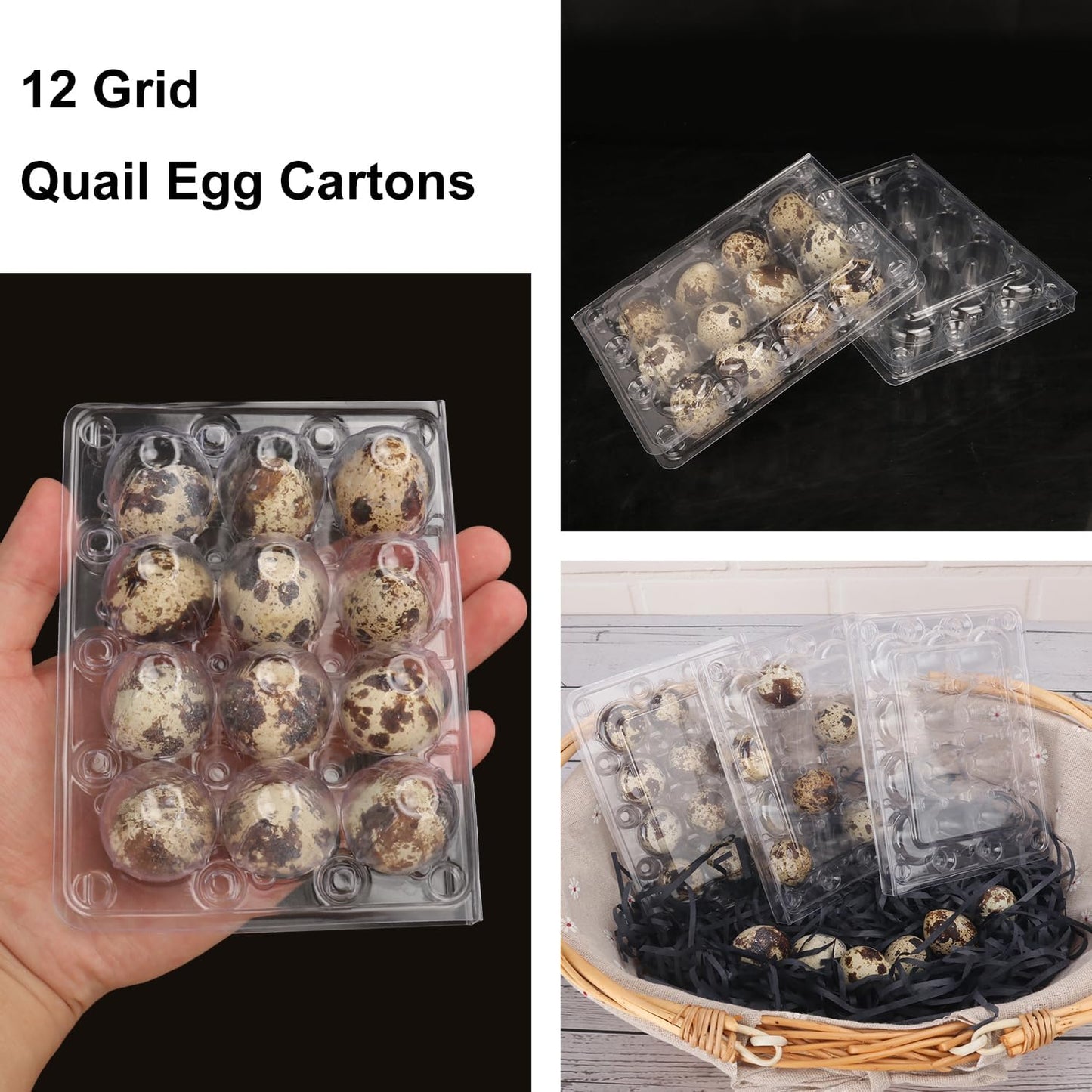 200 Pack Quail Egg Cartons, Clear Plastic Quail Egg Trays, Holds up to 12 Quail Eggs Securely - Your Ultimate Small Eggs Carton Holders for Bulk Storage and Display
