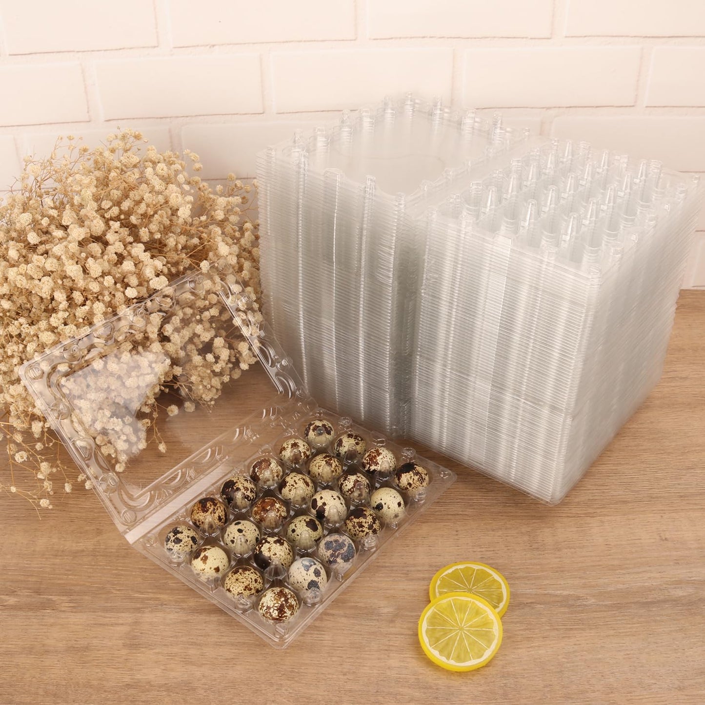 120 Pack Quail Egg Cartons - Clear Plastic Trays Hold 24 Eggs Securely, Ultimate Small Egg Holders for Bulk Storage and Display