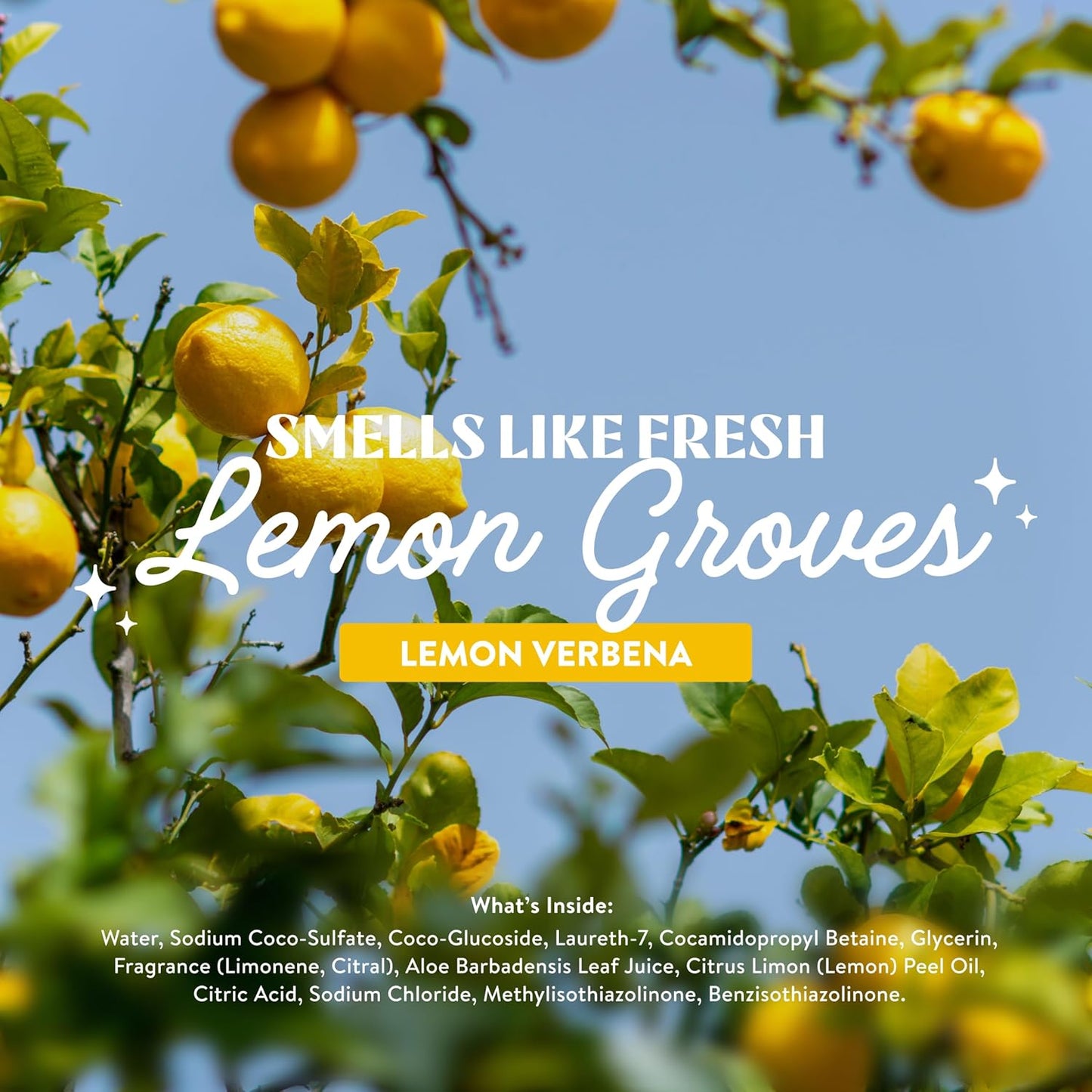 Cleancult Dish Soap Liquid Refill (32oz, 1 Pack) - Plant Based Cleaning Power - Dish Soap that Cuts Grease & Grime - Free of Harsh Chemicals - Uses 90% Less Plastic - Lemon Verbena