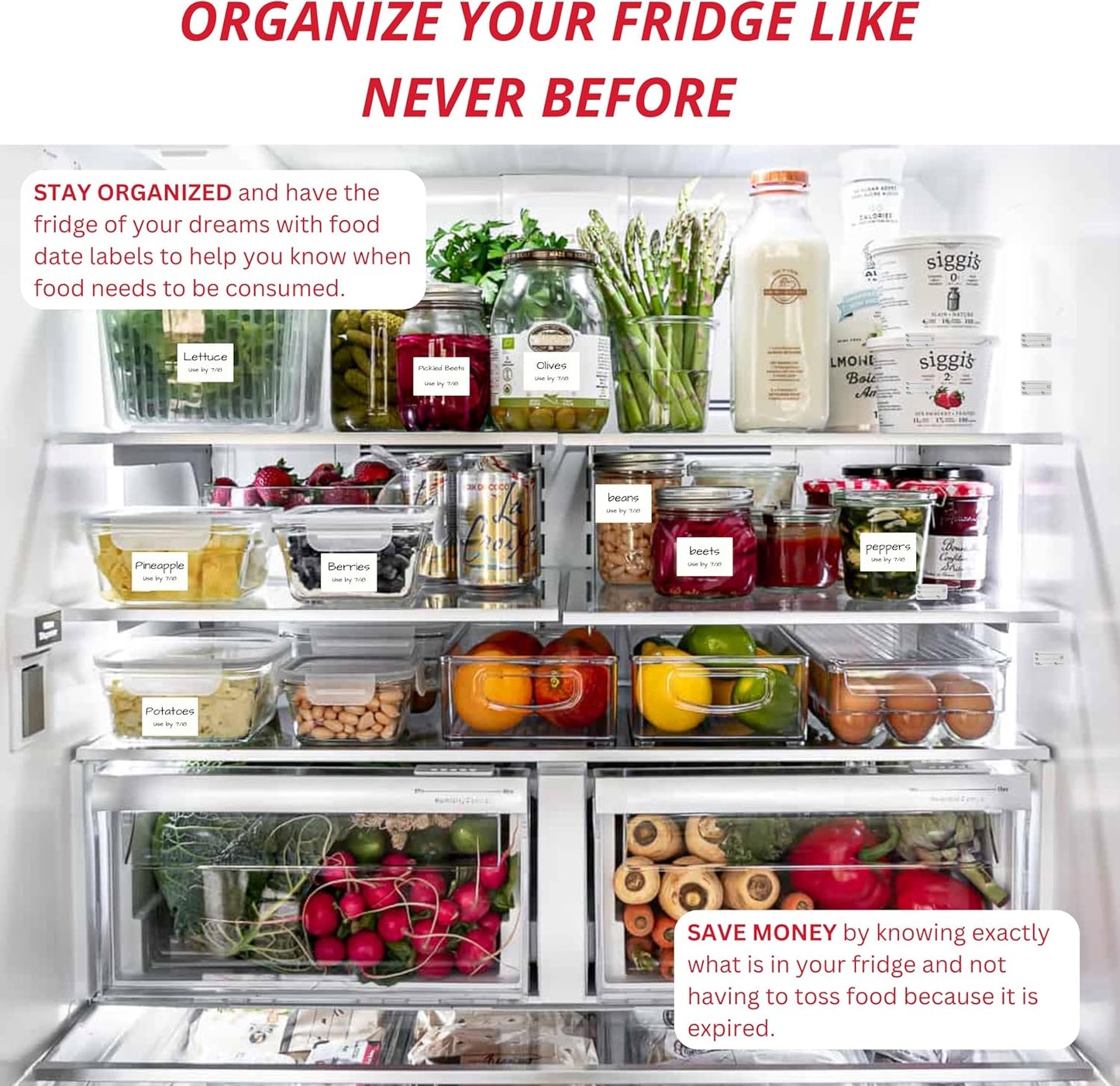 2x3 Dissolvable Food Labels, 250 Label Stickers, Bottle Labels for Storage Bins, Sticker Labels for Food containers, (250, Blank)